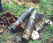 Житель Башкирии нашел 13 артиллерийских снарядов