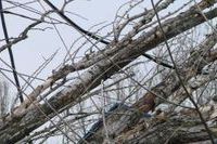 В Башкирии ураган снес крышу сельской школы