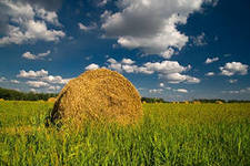В Башкирии многолетние травы скосили на площади 14 тыс.га