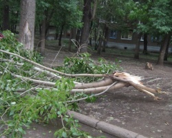в Уфе ураган повалил 37 деревьев и повредил 11 автомобилей