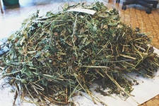 У жителя Башкирии ФСКН изъяла 4 кг наркотиков