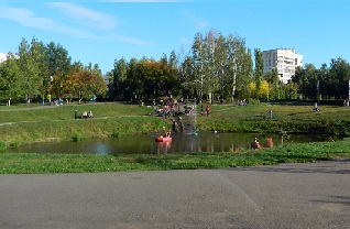 В уфимском парке «Первомайский» дикие утки поселились в пруду