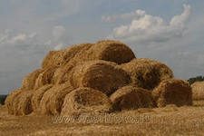 В Башкирии аграрии заготовили 84% сенажа и 67% силоса