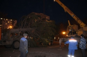 В Демском парке Уфы установлена еще одна новогодняя елка