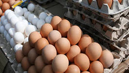 В Башкирии УФАС признало, что цены на яйца повысили незаконно