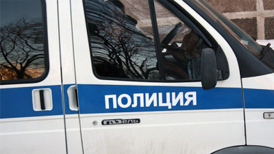 В Башкирии мужчины угнали автомобиль и напали на полицейских