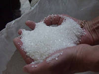 В Башкирии сахарные заводы переработали 1,305 млн тонн свеклы