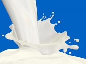 Башкирские фермеры в 2014 году получили 20 тысяч тонн молока