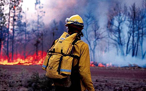 В Башкирии начались лесные пожары