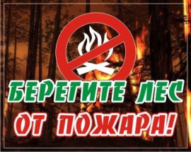В Башкортостане ввели особый противопожарный режим