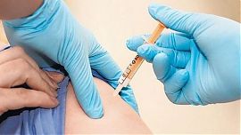 Минздрав РБ не успел закупить вакцину против клещевого энцефалита