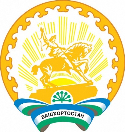 В Башкирии объявлены выборы Президента республики