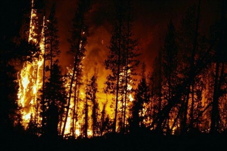 За выходные в Башкирии было зафиксировано три случая лесных пожаров