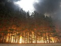 В Бурзянском районе из-за грозы произошел лесной пожар