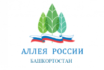 В голосовании за растение-символ Башкирии лидиром является липа