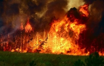 В Башкирии возник крупный лесной пожар из-за сельхозпала в Оренбургской области