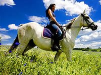 17 августа в Уфе пройдет «Праздник лошади»