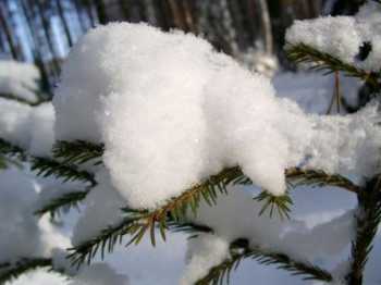 Праздничные дни в Уфе будут теплыми и снежными