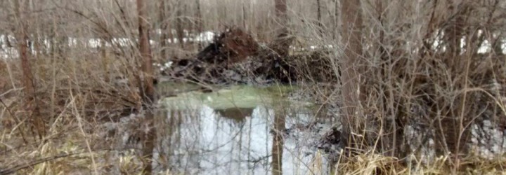 В Башкортостане талая вода разнесла по лесу нефтепродукт