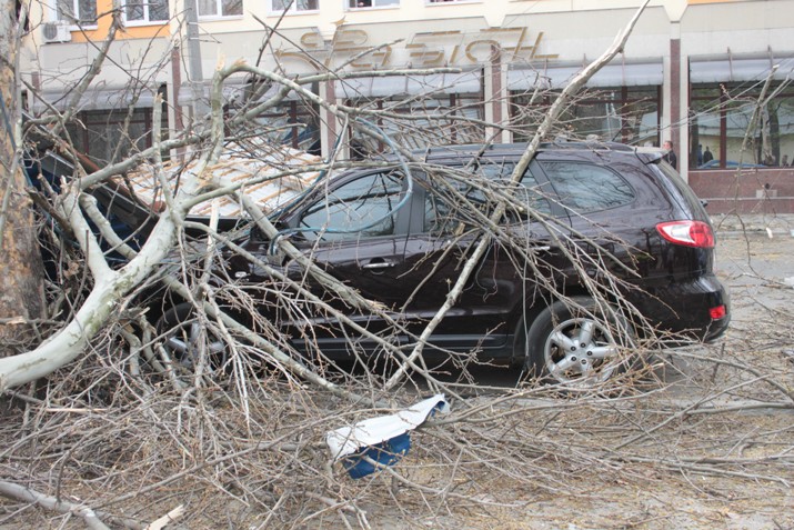 В Уфе четыре автомобиля накрыло упавшее дерево
