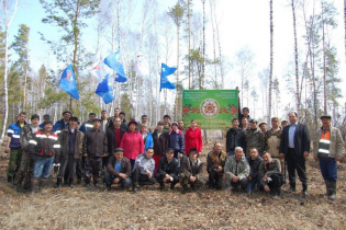 В Зилаирском районе в рамках акции «Лес Победы» посадили 35 тысяч деревьев