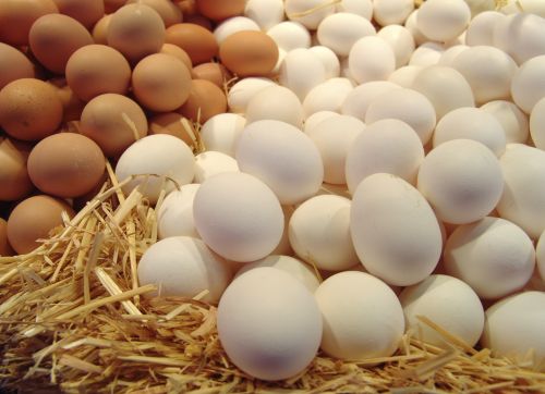 В Башкирии зафиксировано снижение производства яиц