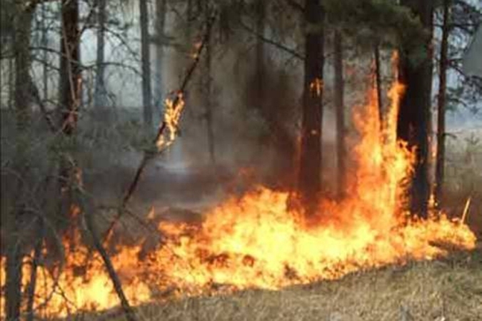 В Башкортостане зарегистрированы первые лесные пожары