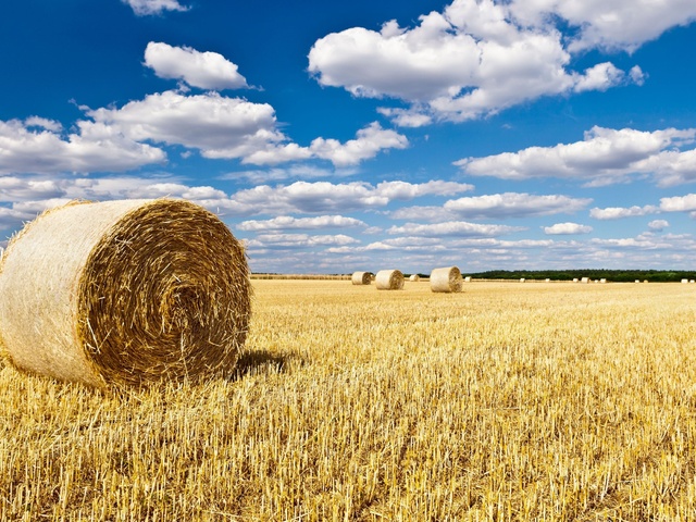 Житель Башкирии похитил с поля 4 тонны сена