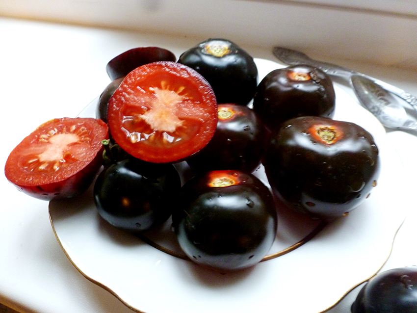 Фермеры в Башкирии будут выращивать фиолетовый картофель и черные томаты