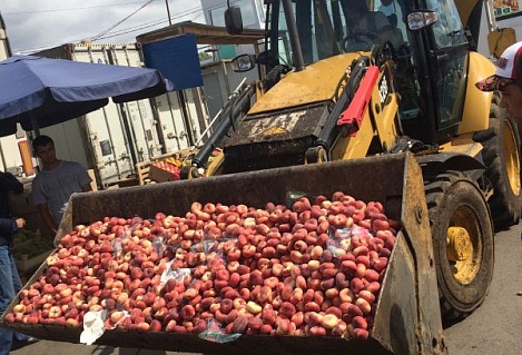В Уфе уничтожено 410 килограммов санкционных персиков