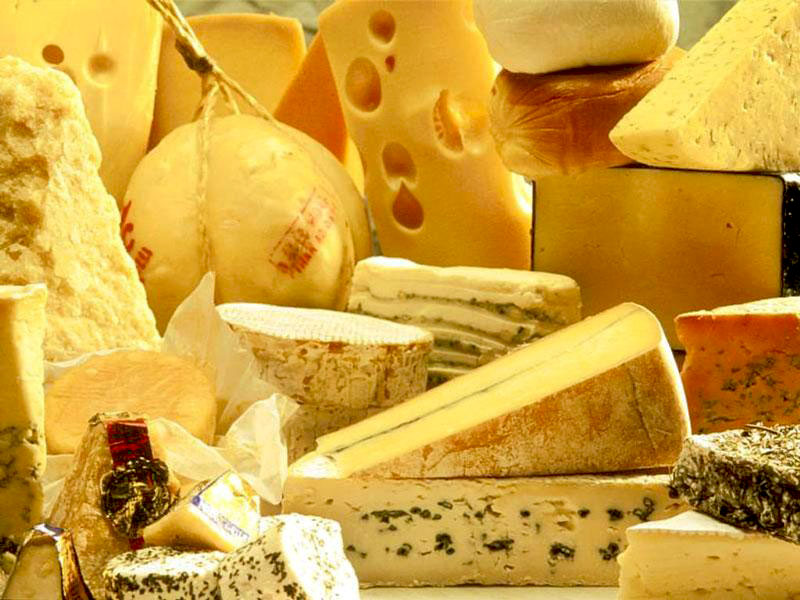 В Башкирии запустят производство элитных сыров