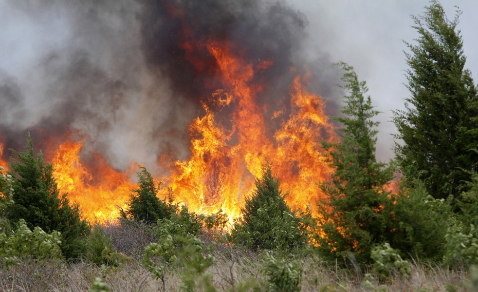 За последние сутки в Башкирии зафиксировано три лесных пожара