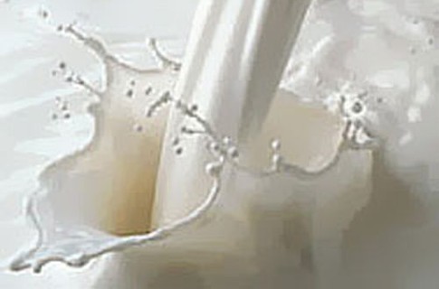 В Башкирии надоили более 457 тысяч тонн молока