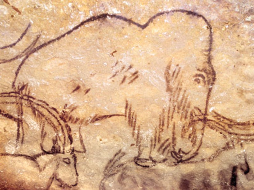 В пещере Шульган-Таш обнаружили наскальные рисунки