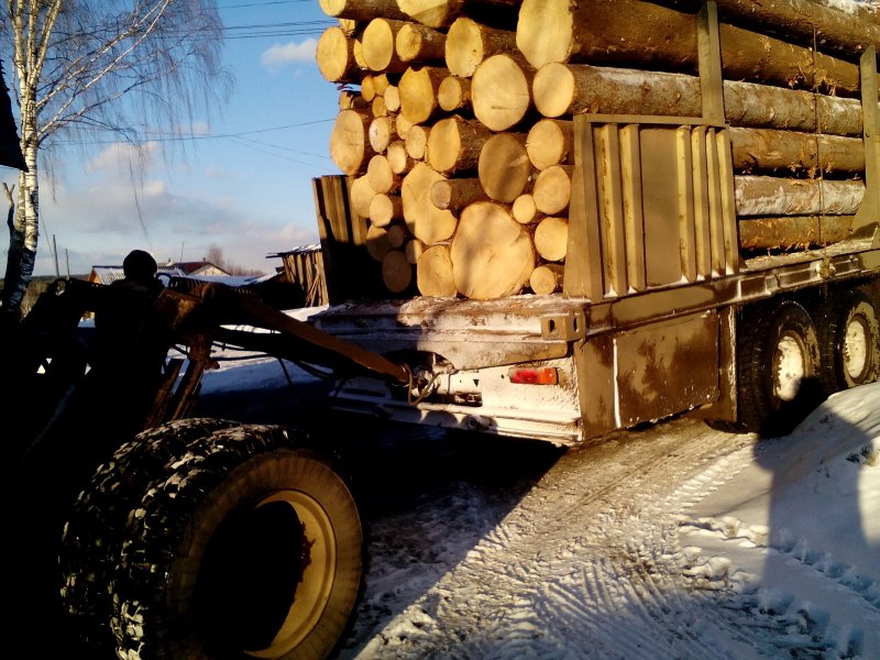 Руководство предприятия «Бураевский лес» оштрафовано за смерть водителя