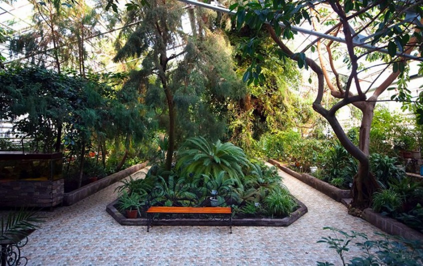 Сотрудники ботанического сада Уфы обучат желающих ландшафтному дизайну