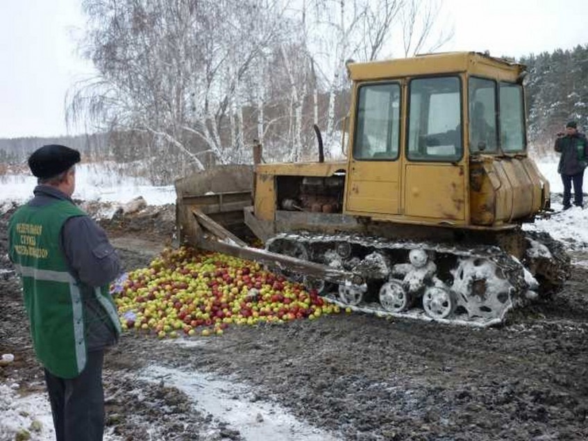 В Уфе уничтожили полтонны груш из Польши