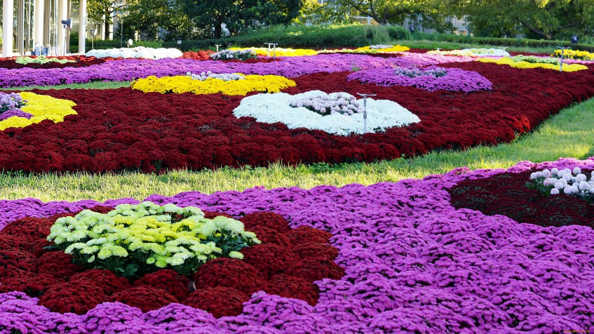 В Башкирии в Межгорье высадят 6,5 тысячи цветов