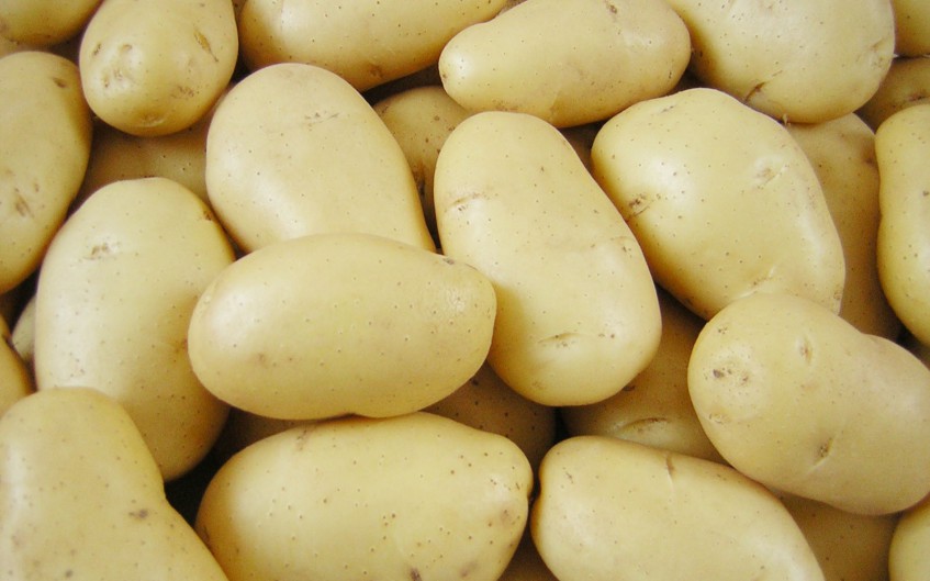 Башкирия вошла в пятерку самых урожайных по картофелю регионов России