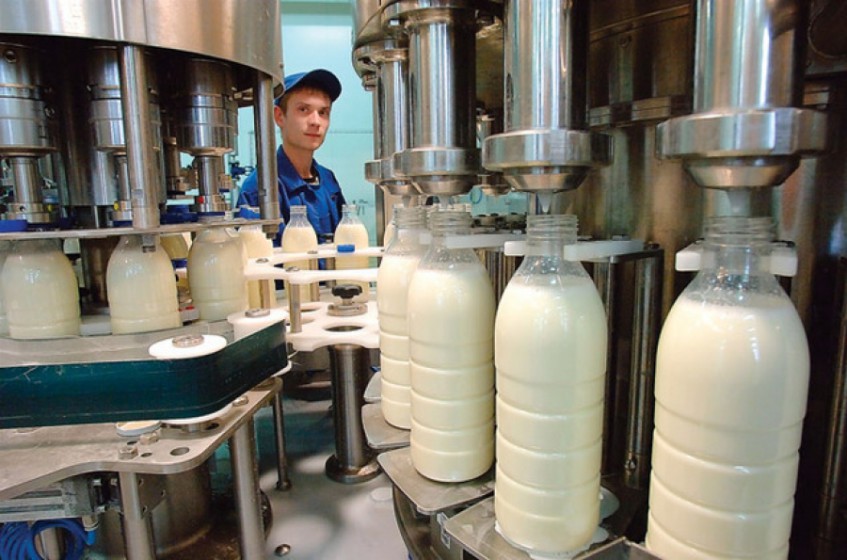 Башкирия планирует заработать 1 млрд рублей на интервенциях сухого молока