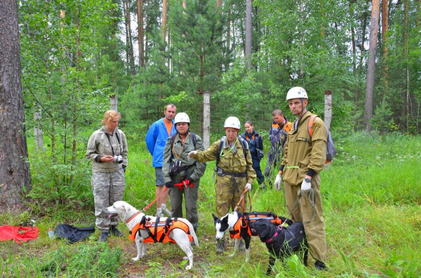 Уфимские собаки из спасательных служб отличились в соревнованиях