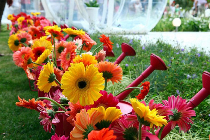 В Уфе пройдет фестиваль цветов
