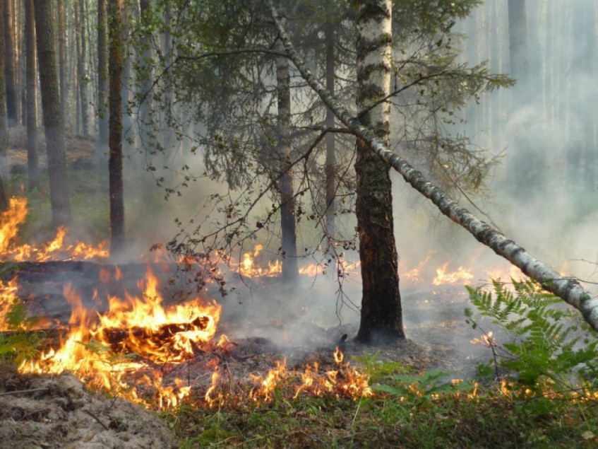 В Башкирии на территории заповедника «Шульган-Таш» произошел пожар