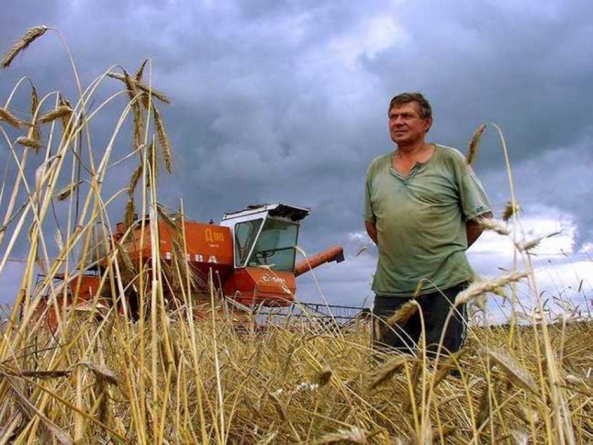 В Башкирии начинающим фермерам выплатят до 3 миллионов рублей