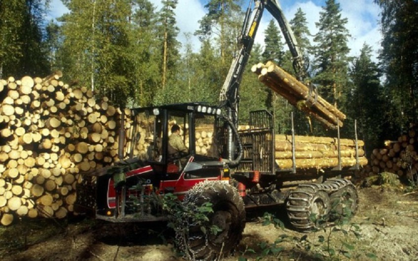 В Башкирии создали кластер для лесопромышленников